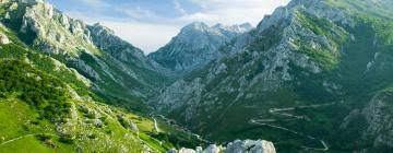 picos de europa apartamentos